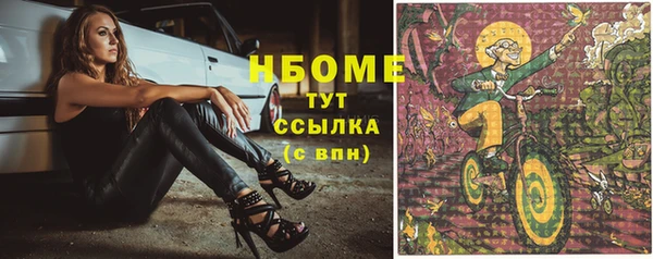 сатива Балахна