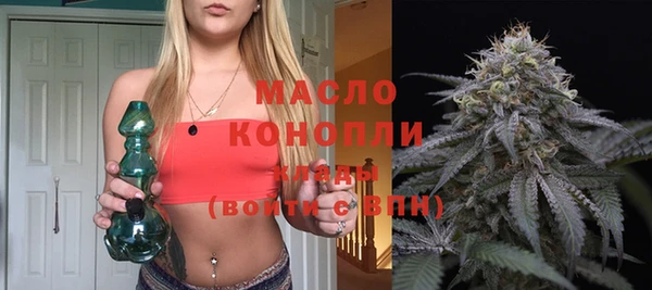 сатива Балахна