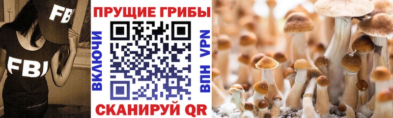 гидра сайт закладка Унеча Галлюциногенные грибы Magic Shrooms